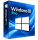 Windows 10 Pro