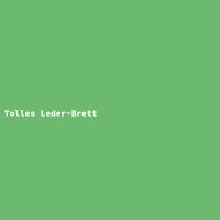 Tolles Leder-Brett