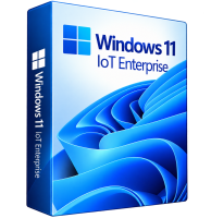 Windows 11 IoT Enterprise