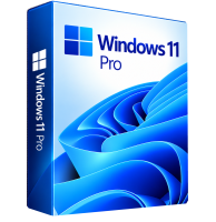 Windows 11 Pro